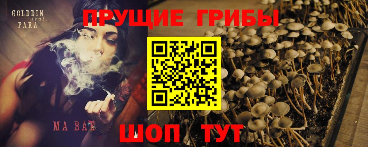Псилоцибиновые грибы Magic Shrooms Туапсе