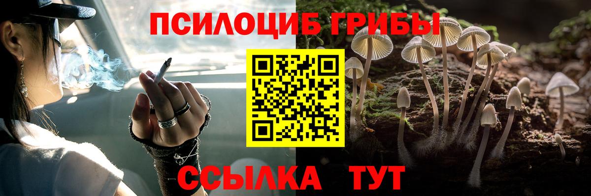Галлюциногенные грибы Psilocybe  купить наркотики цена  Туапсе  Вход с VPN  Псилоцибиновые грибы GOLDEN TEACHER 